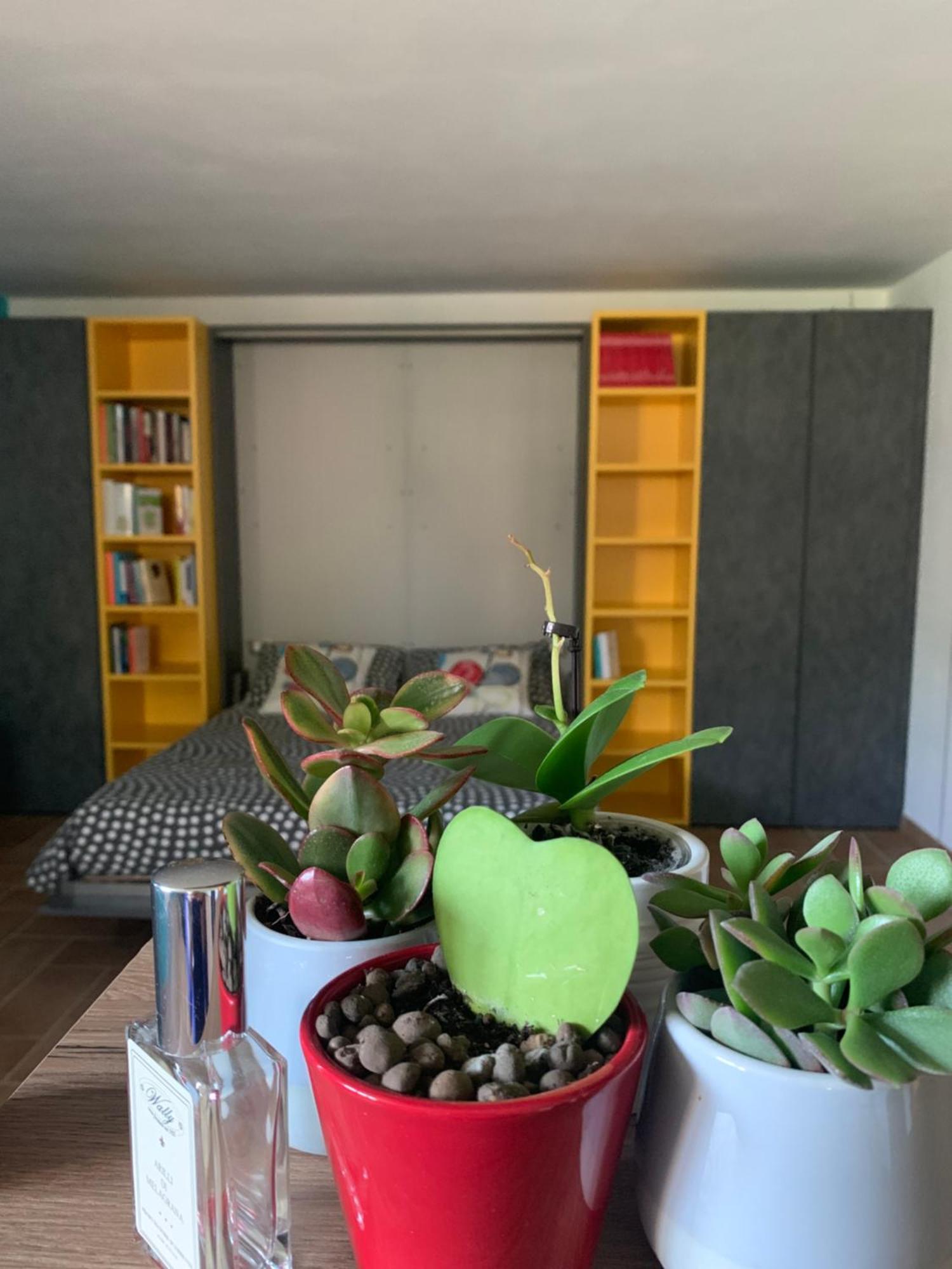 Appartamento Con Giardino Pontecchio Marconi Exteriör bild